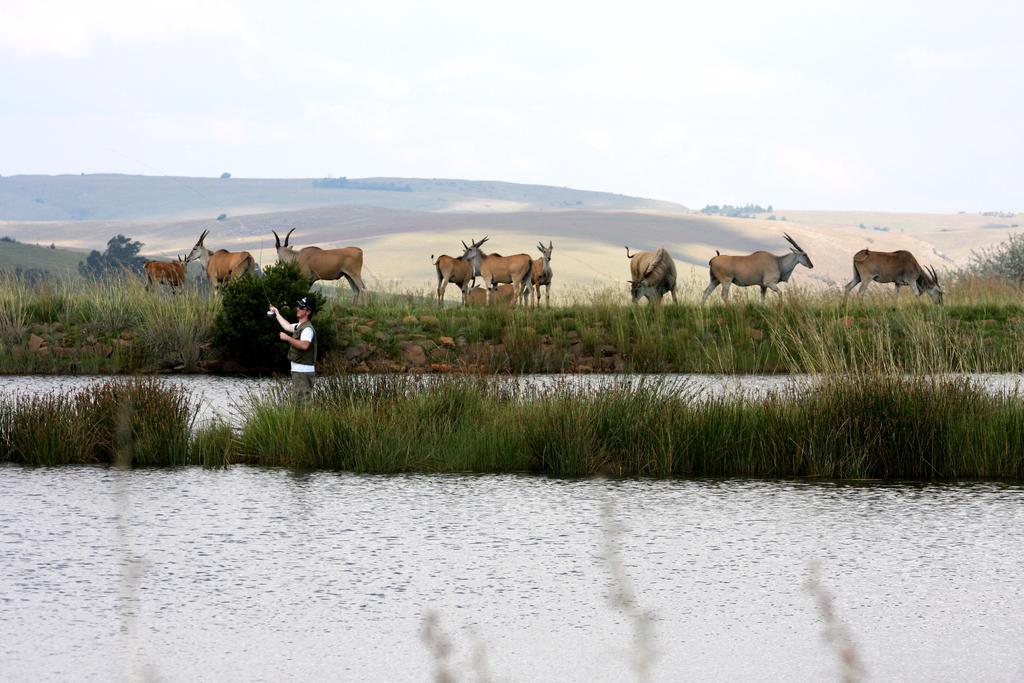 בית הארחה דלסטרום 	Elandskloof Trout Farm מראה חיצוני תמונה